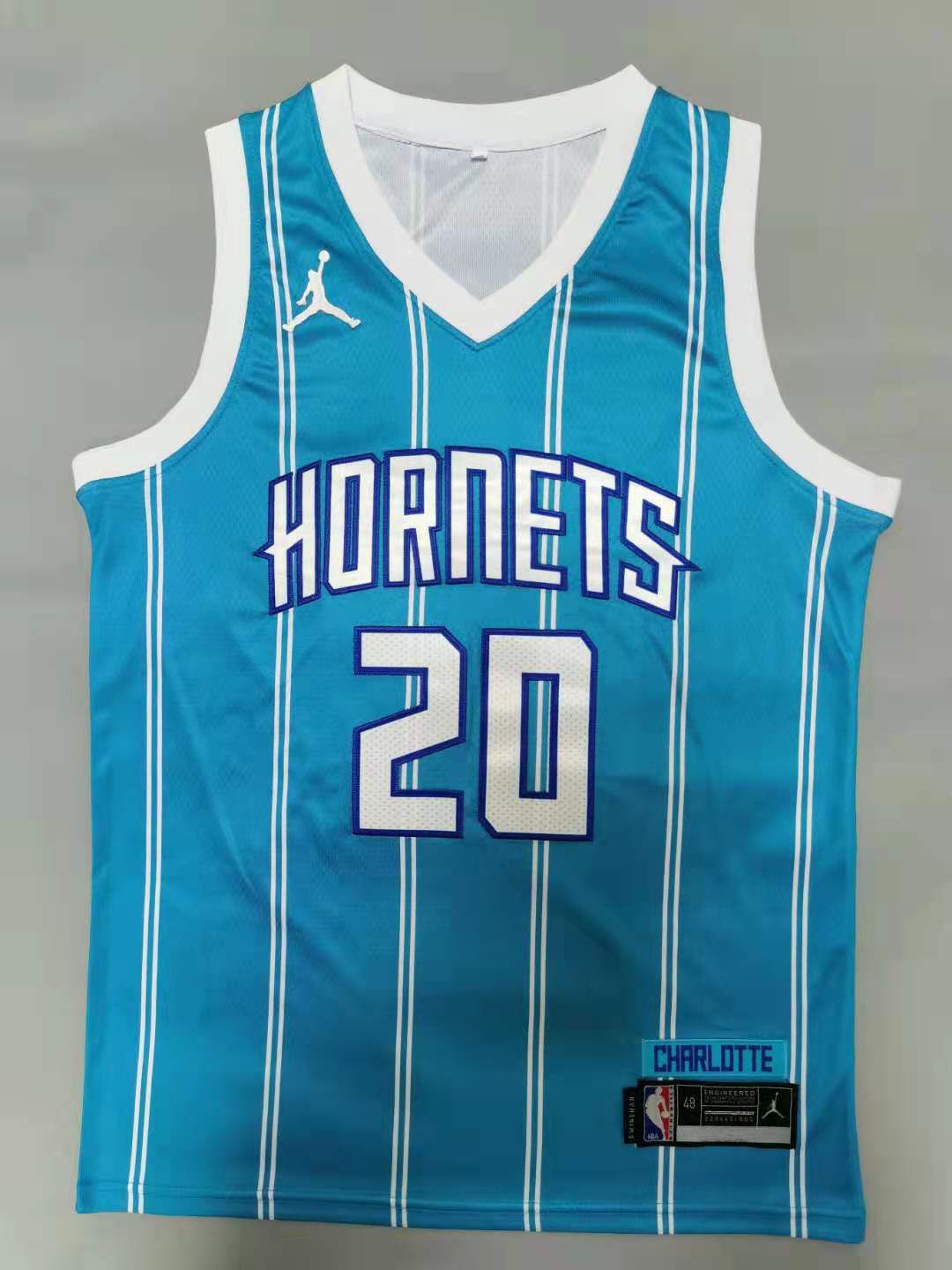 Men Charlotte Hornets #20 Hayward Blue 2021 Game NBA Jersey->charlotte hornets->NBA Jersey